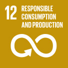 12. RESPONSIBLE CONSUMPTION AND PRODUCTION